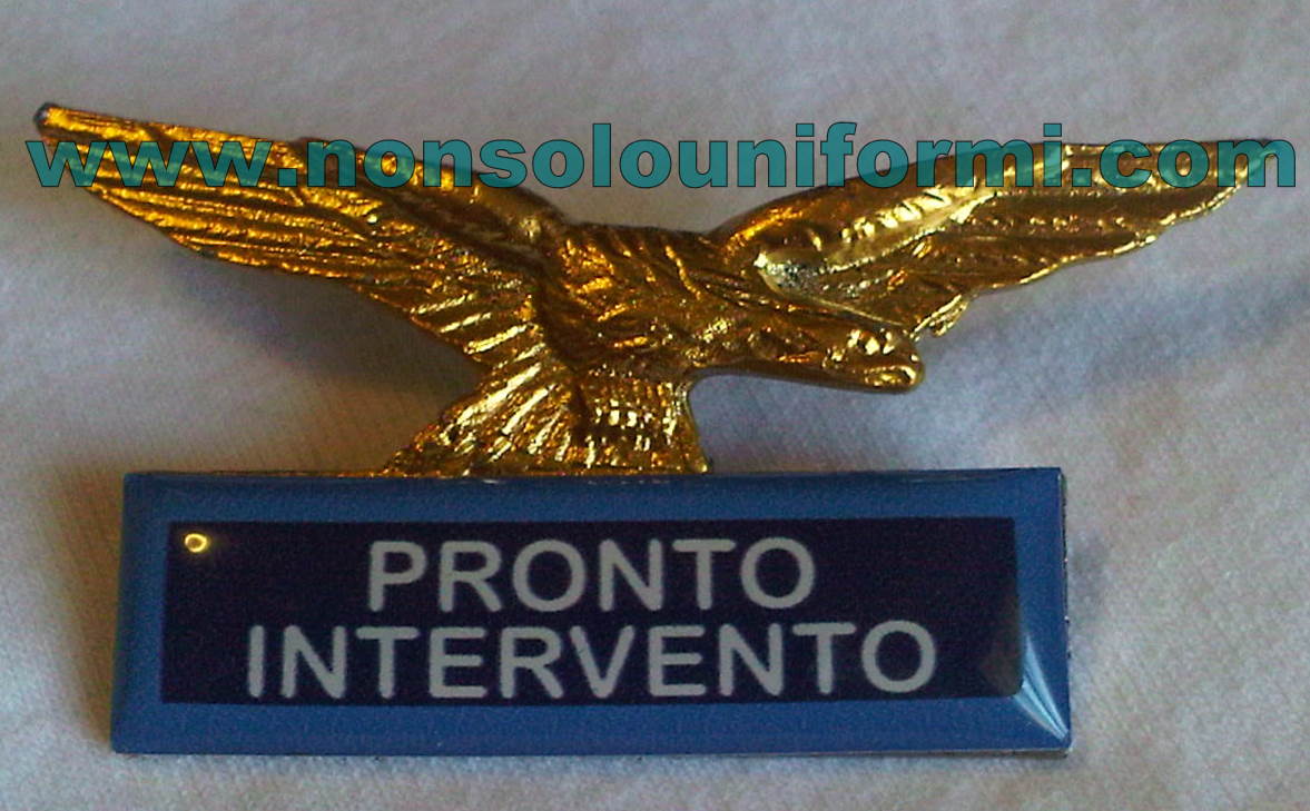 Aquila Metallo Pronto Intervento