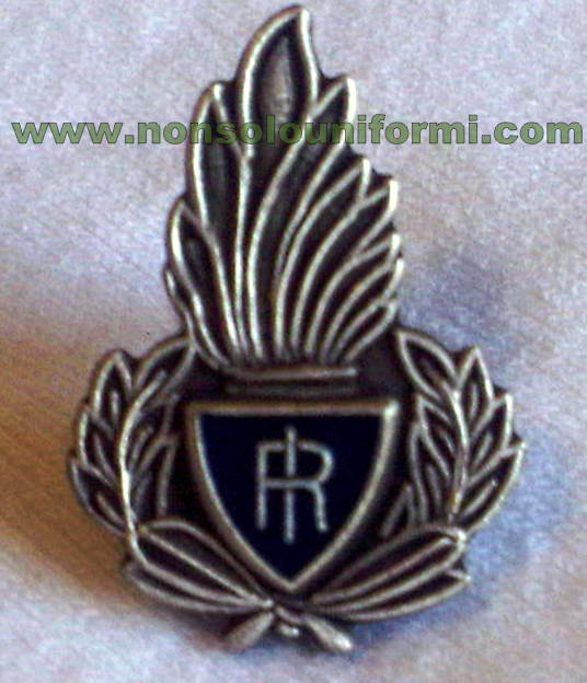 Pins Polizia Penitenziaria