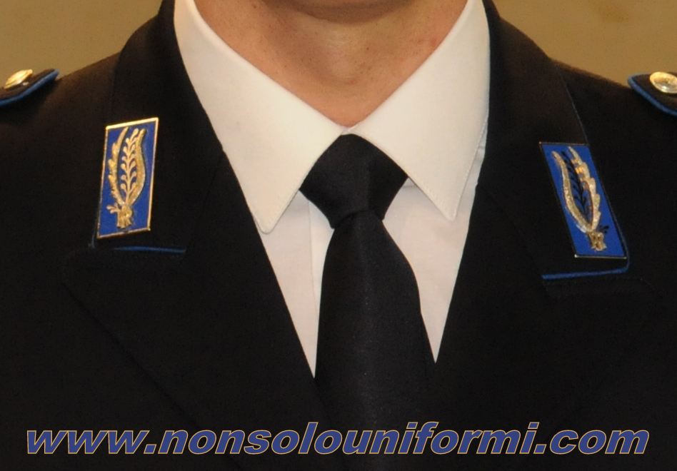 Camicia policot. M/C tipo militare azzurro CARABINIERI [Camicia M/C  militare azzurro CC] - 24.90EUR : !, Articoli Militari e  tanto altro ancora